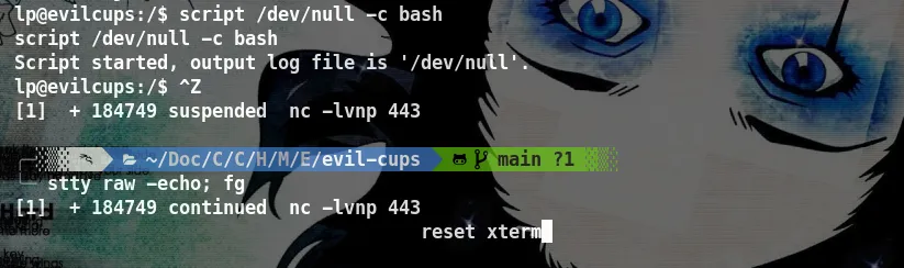 EvilCUPS yw4rf